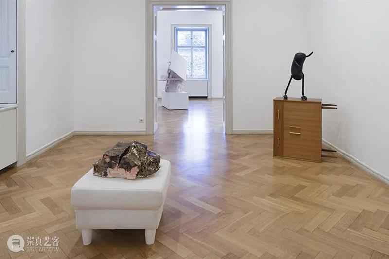 艺术家 | 欧文·沃姆 Erwin Wurm 博文精选 Thaddaeus Ropac 欧文 沃姆 Wurm 艺术家 作品 问题 雕塑 概念 日常生活 时代 崇真艺客